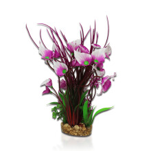 Aqua One Purple Villarsia/Hygrophila Medium