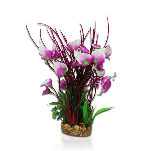 Aqua One Purple Villarsia/Hygrophila Medium