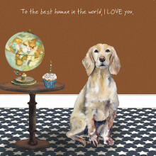 Working Cocker Love Little Dog Laughed Greeting Card Blank Inside Any Occasion