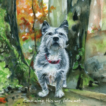 Terrier Follow Me! Little Dog Laughed Greeting Card Blank Inside Any Occasion