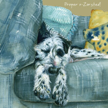 Border Collie Pointer Little Dog Laughed Greeting Card Blank Inside Any Occasion