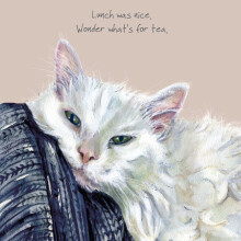 Cat What's For Tea Little Dog Laughed Greeting Card Blank Inside Any Occasion