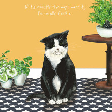 Flexible Moggie Little Dog Laughed Greeting Card Blank Inside Any Occasion