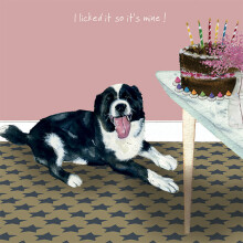 Border Collie Licked! Little Dog Laughed Greeting Card Blank Inside Any Occasion