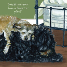 Best Friends Sleeping Little Dog Laughed Greeting Card Blank Inside Any Occasion