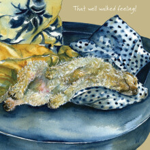 Tired Cocker Spaniel Little Dog Laughed Greeting Card Blank Inside Any Occasion