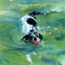 Jack Russell Throw It! Little Dog Laughed Greeting Card Blank Inside Any Occasion