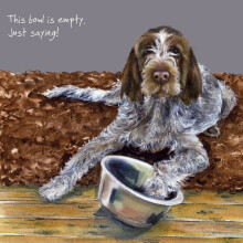 Italian Spinone Bowl Little Dog Laughed Greeting Card Blank Inside Any Occasion