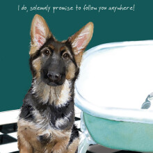 Alsatian Promise Little Dog Laughed Greeting Card Blank Inside Any Occasion