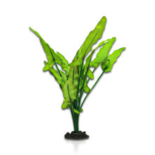 Aqua One Sword Plant Green White 30cm