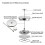 (350ml) Practical Coffee Brewing Pot French Press Filter Tea Brewer Coffee Pot 4