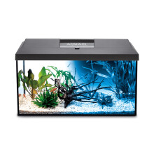 (AquaEl Leddy 60 Day & Night Aquarium Kit - Black) AquaEl Leddy 60 Day & Night Aquarium Kit