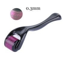 (0,3 mm) Rouleau facial avec aiguilles 0,2/0,25/0,3 mm en titane micro