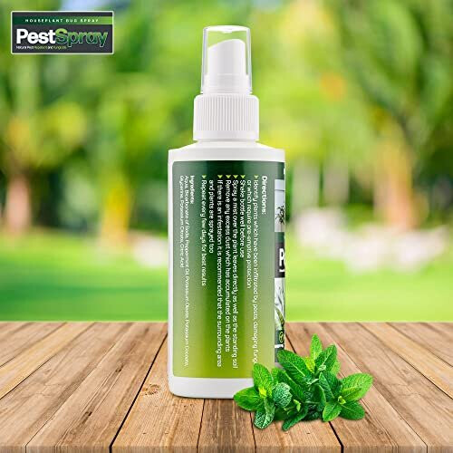 Houseplant Bug Spray, PestSpray, Natural Pest Repellent & Fungicide, Plant Spray, Bug Control