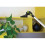 Polti Forzaspira PAEU0366 Slim SR110 Vacuum Accessory kit 7