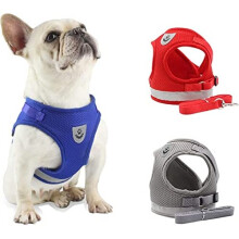 Small Dog Harnesses and Lead Adjustable Dog Harness no pull, Puppy Vest Harness and Lead for Walking, Puppy Harness with Mesh Vest and 1.2m Dog Lead