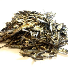 Dried Sprats 500g Natural Fish Dog Treats Chews SMD