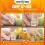 Fruit Fly Trap - 4 Traps - Highly Effective Ecological Fruit Fly Traps Indoor - Environmentally Responsible Fruit Fly Killer - User Friendly - Up to 3 4