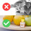 Fruit Fly Trap - 4 Traps - Highly Effective Ecological Fruit Fly Traps Indoor - Environmentally Responsible Fruit Fly Killer - User Friendly - Up to 3 8