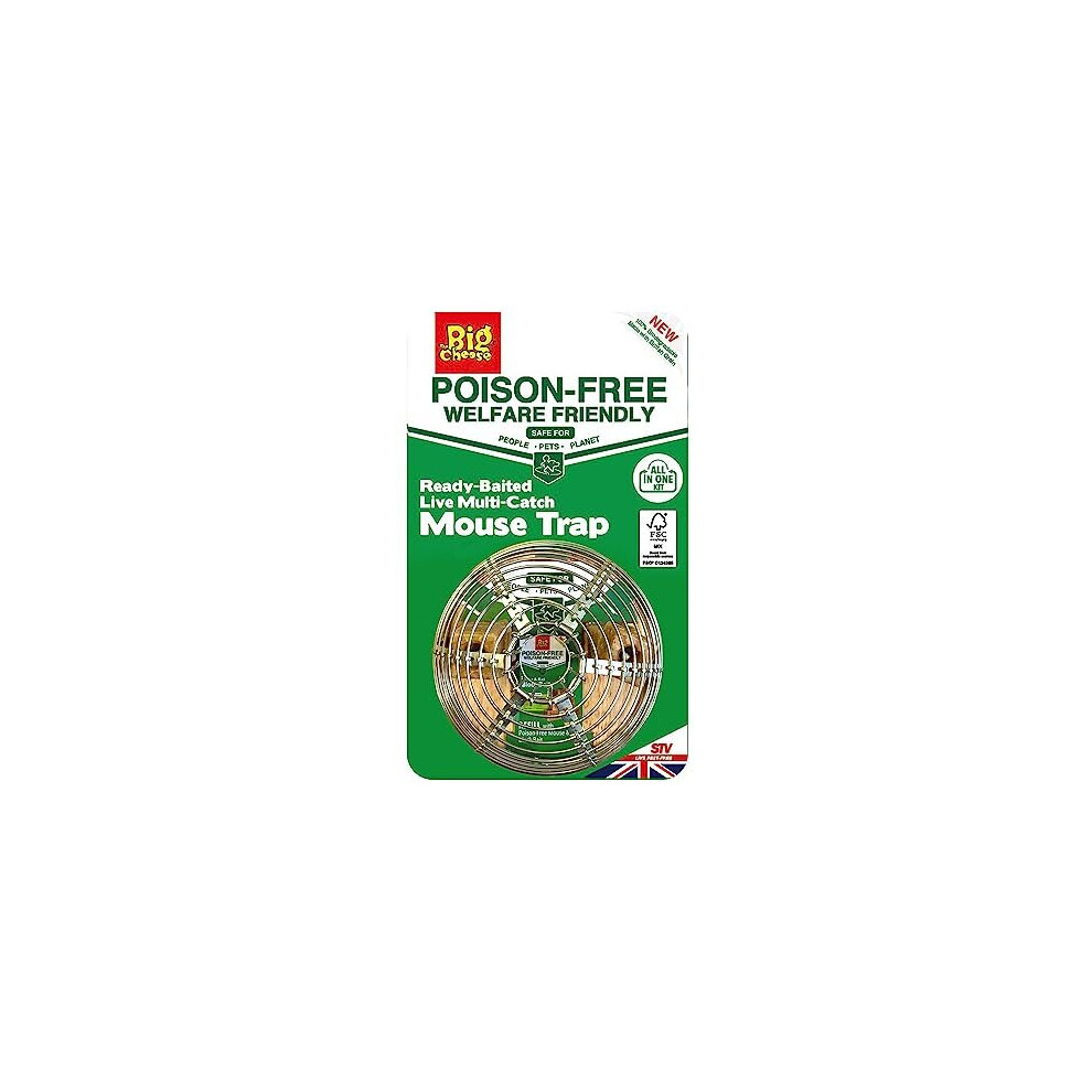 The Big Cheese Poison-Free, Ready-Baited Dome Multi-Catch Mouse Trap