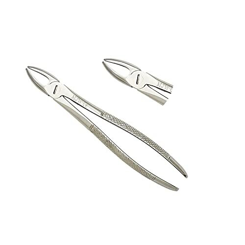 Dental Extraction Forceps No 01 Tooth Extraction Forceps Dental