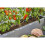 Gardena Micro-Drip-System Inline Drip Head 2 l/h: Drip head for the automatic irrigation system, for plants with similar water requirements, simple 4