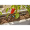Gardena Micro-Drip-System Inline Drip Head 2 l/h: Drip head for the automatic irrigation system, for plants with similar water requirements, simple 3