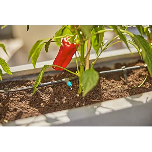Gardena Micro-Drip-System Inline Drip Head 2 l/h: Drip head for the automatic irrigation system, for plants with similar water requirements, simple 2