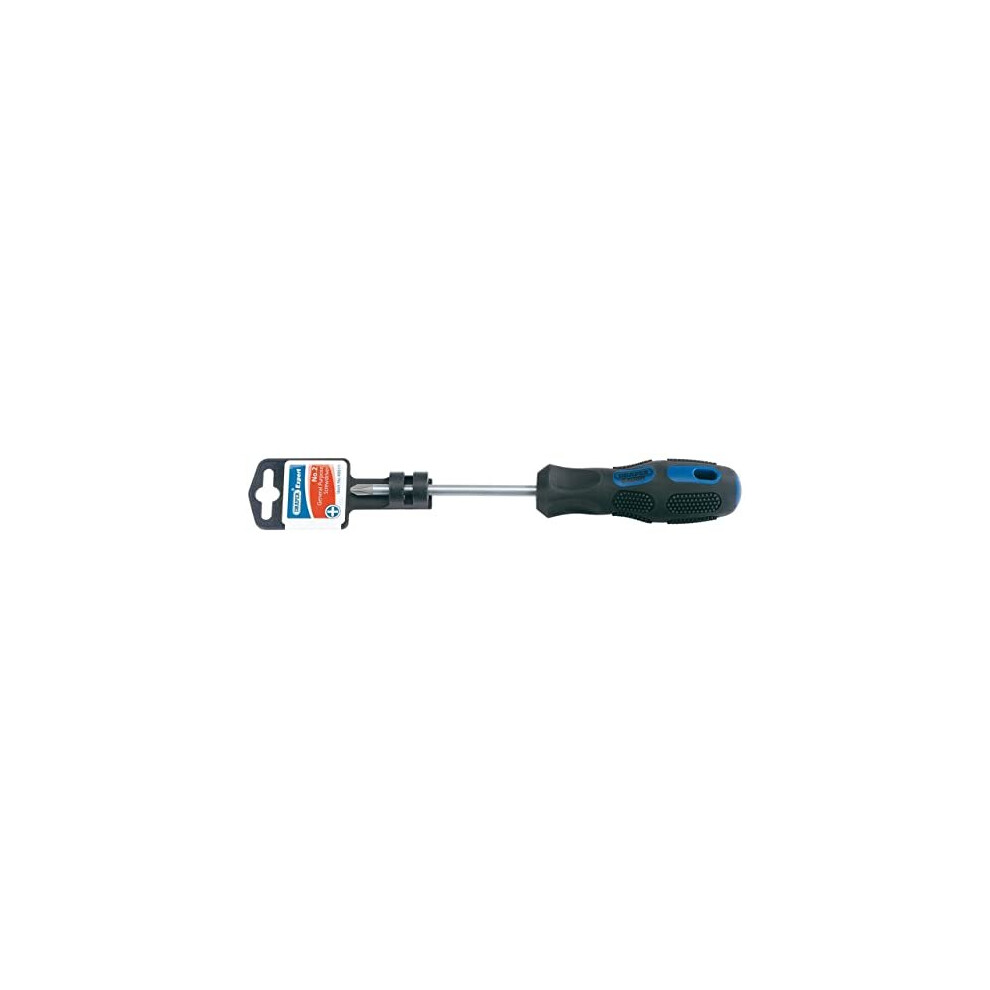 40019 Expert No. 2 Cross Slot Screwdriver, 100mm , Blue