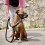Nylon Soft Dog Muzzle for Dogs Prevent Anti Biting, Barking and Chewing, Adjustable Loop (L, Black) 6
