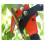 Extendable Pole Saw Branch Trimmer Pruner Head for Tree Trimming Pruning 6