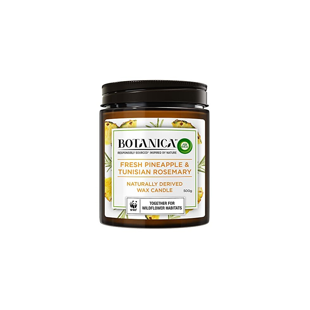 Botanica by Air Wick |Pineapple & Tunisian Rosemary Naturally Derived Wax Candle 500 g