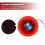 Fire Alarm Bell 4 inches 100Db Security Bell (12V) 6