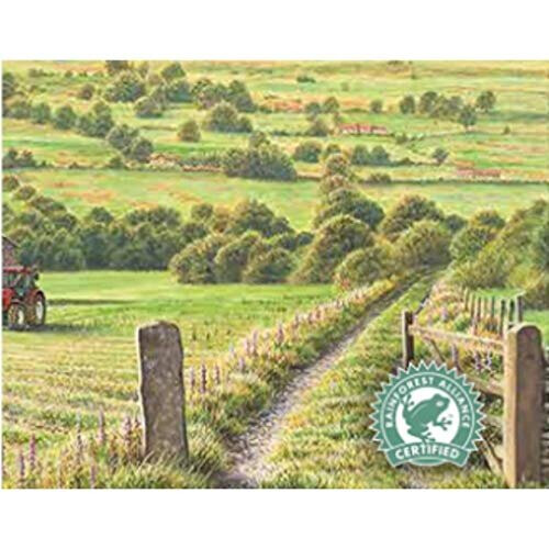 Yorkshire Tea Taylors of Harrogate Yorkshire Tea, 656g 1