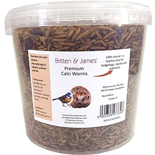 Dried Calci Worms in a 5L Tub. High in Calcium and Protein - an ideal ...