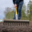 Roughneck Sharp-Edge Soil Rake 350x1500mm/13¾x59", Black- Yellow 5