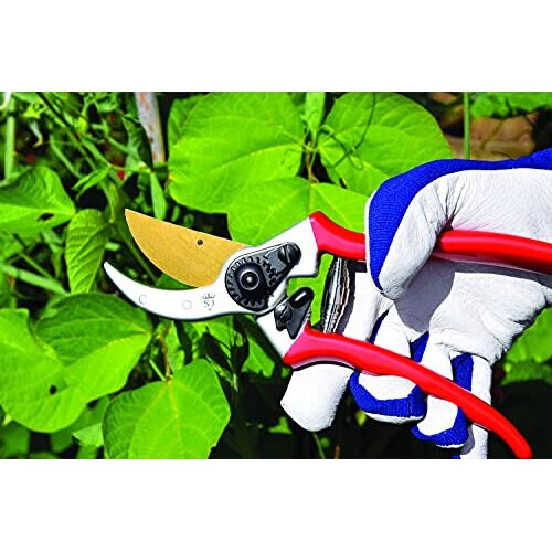 Spear & Jackson 6659TITAN Titanium Coated Heavy Duty Bypass Secateurs 1
