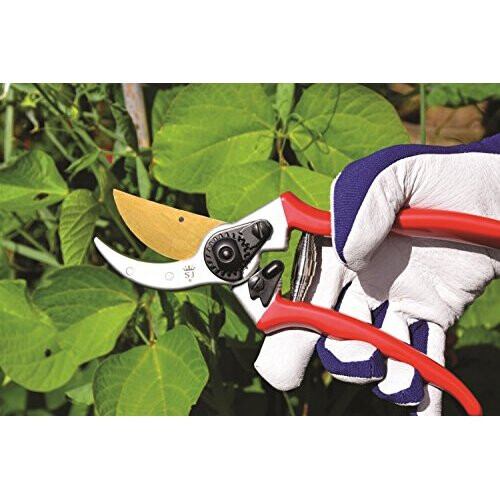 Spear & Jackson 6659TITAN Titanium Coated Heavy Duty Bypass Secateurs 2