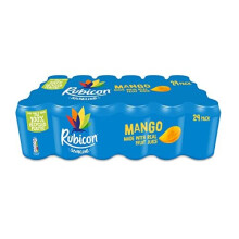 Sparkling Mango, Fizzy Drink with Real Fruit Juice, 24 x 330ml Cans