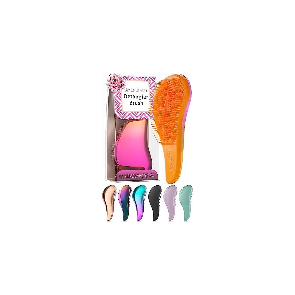 Lily England Detangle Hair Brush For Curly Hair, Straight, Dry & Wet Hair - Detangling Hair Brush For Thick Hair & Fine - Curly Hair Brush For Kids, Women, &