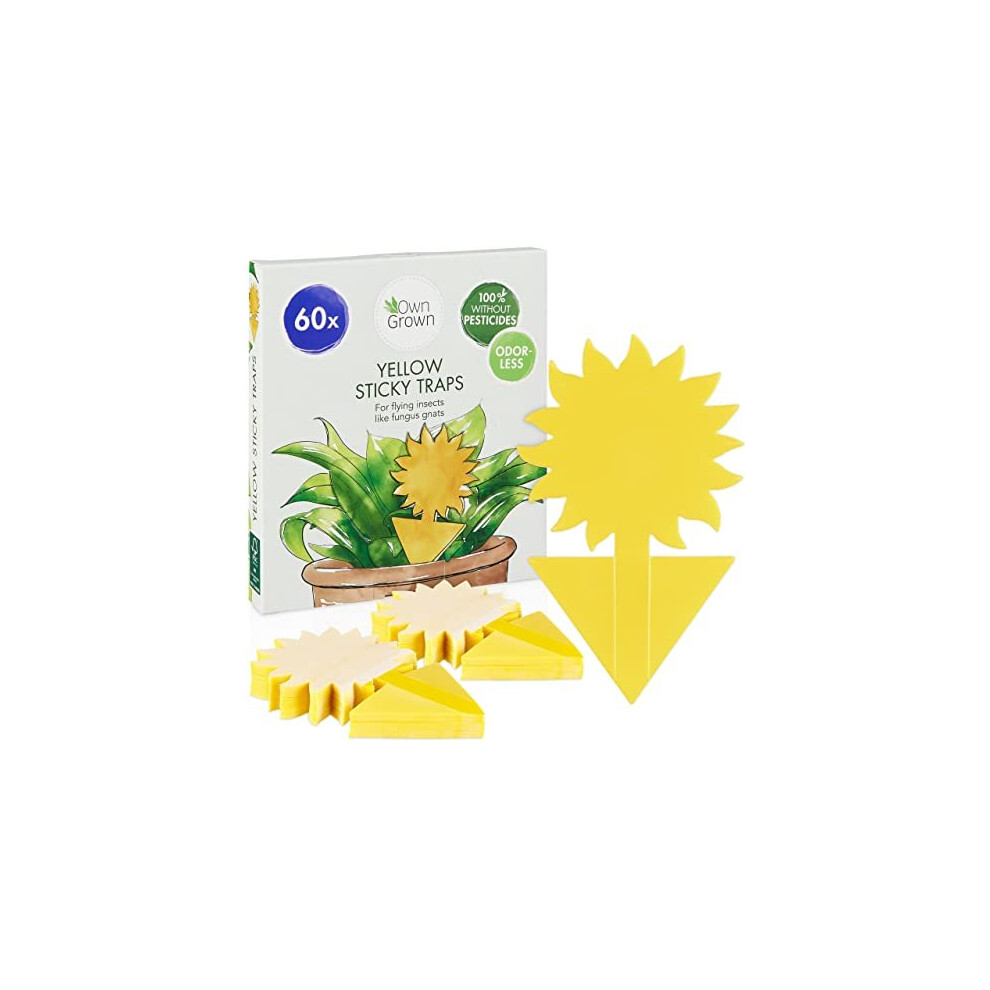 Yellow Sticky Traps Fungus Gnats: 60x Sticky Fly Trap for Indoor Plant – Yellow Sticky Fly Traps – Fungus Gnat Killer – Fruit Fly Trap by