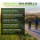 Organic Chlorella Powder (200g), Natural Source of Protein 3