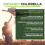 Organic Chlorella Powder (200g), Natural Source of Protein 4