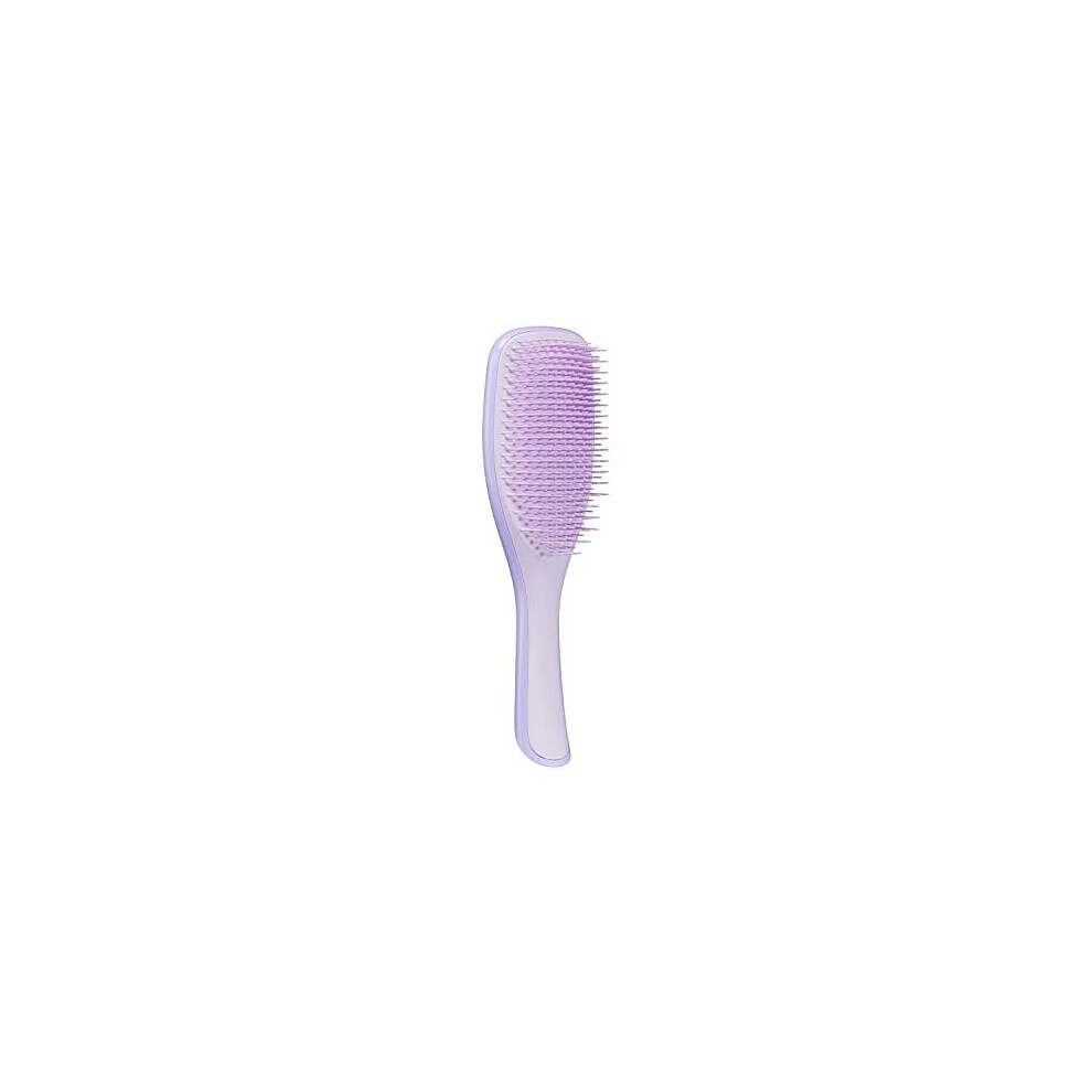 Tangle Teezer | The Fine And Fragile Wet Detangler Hairbrush For Wet & Dry Hair | Color Treated, Fine, Fragile Hair | Hypnotic Heather