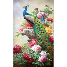 Stamped Cross Stitch Kits for Adults Peony Flower Peacock Beginner-Counted 11CT Pre-Printed Pattern Fabric Embroidery Crafts Home Decor-16x20 inch