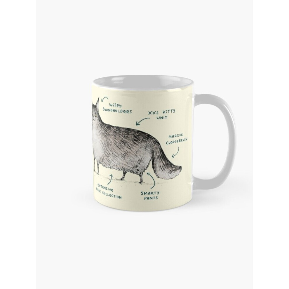 Whibos Mugs 11Oz Anatomy Of A Maine Coon Coffee Ceramic Mug Funny Anniversary Novelty Christmas Gift
