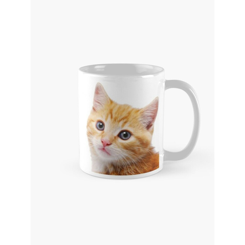 Mugs 11oz Im Alan Partridge  Alan and Cat Mug Coffee Ceramic Mug Funny Anniversary Novelty Christmas Gift