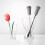 KIS SKISS FISH 3PCS Sponge Cup Brush Long Handle Replaceable Kitchen Cleaning Brushes 5