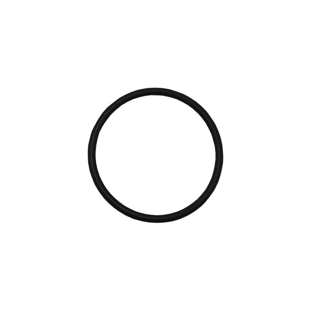 Plastica Argonaut Diffuser O-Ring 5060219996919