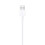 Apple Apple Lightning to USB Cable (1m) | MXLY2ZM/A 4